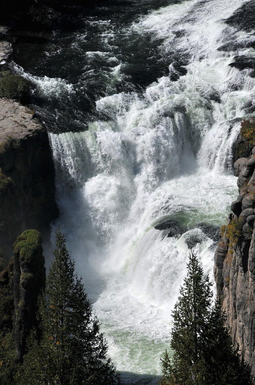heyfiki:Lower Mesa Falls by Bachspics on Flickr.In southeastern Idaho.