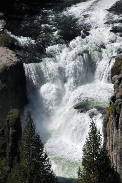 4nimalparty:Lower Mesa Falls (by Bachspics)