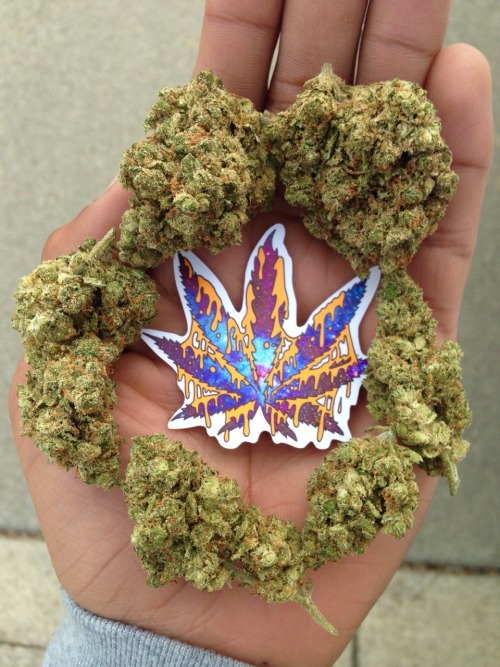 XXX weed-holic:  let’s get high together  photo