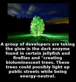 weirdsciencefacts:  Wow!! I want one in my