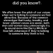 did-you-know:We often lower the pitch of our voices when we’re talking to someone we find attractive.Because of the common stereotype that husky, breathy, and lower-pitched voices are sexier, both men and women may unknowingly try to sound more like