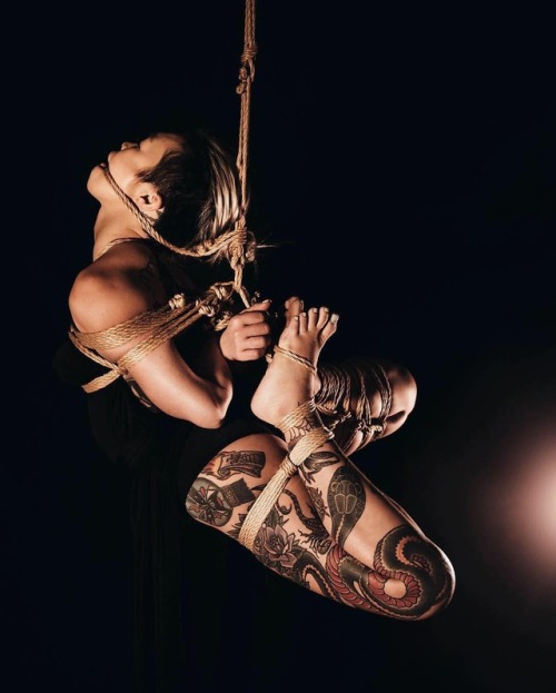 XXX thevertigonetwork:  Kinbaku GorgoneModel photo