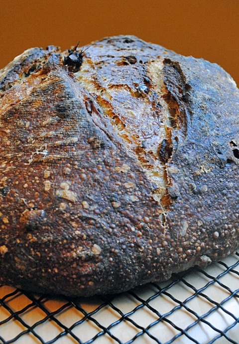 SOURDOUGH BREAD WITH WALNUTS AND DATES