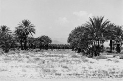 jonasgrossmann:  elaine mayes… autolandscape, southern california, september 1971 @ americanart