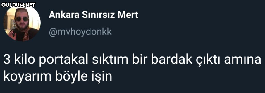 Ankara Sınırsız Mert...