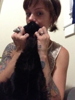  Cat beard. 