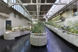 brutalistinteriors:  Warringah Council Chambers.