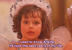 sakuranamida:   The Little Rascals (1994) 
