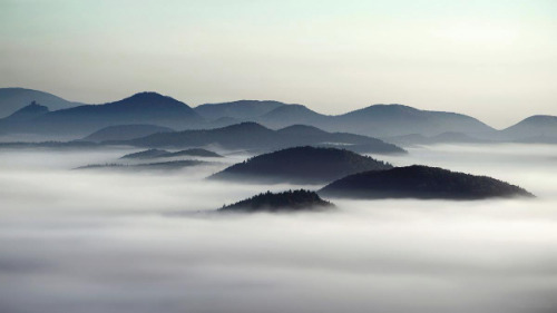 foxmouth: The Fog, 2014 | by Kilian Schönberger