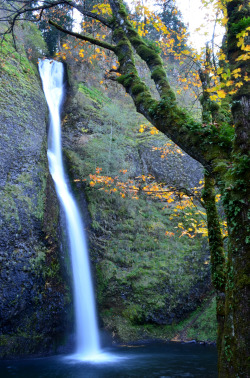 about-usa:   	Horsetail Falls - Oregon -