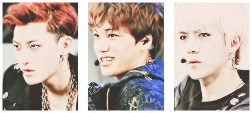 kaiwaiisoo-blog:  E X O Dream Concert 2013 