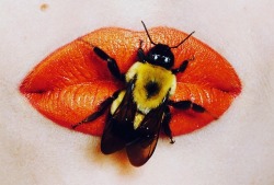 didiconns:  Irving Penn - Bee On Lips, New York 