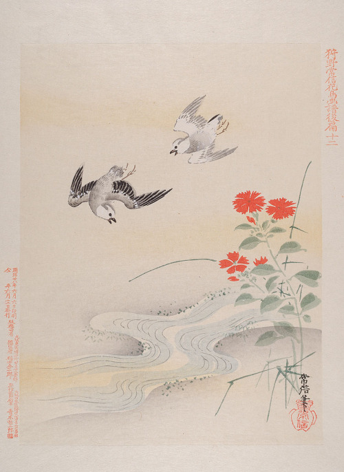 Birds and flowers after Kanō Tsunenobu,  (1636–1713). MKG Hamburg