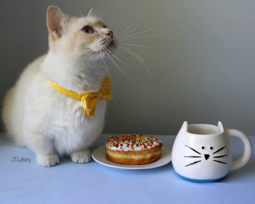 jtcatsby: For me?!?! I love sprinkles!!! What’s your favorite kind of donut? #NationalDonutDay