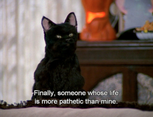 directornor4ever:  drumcorpsgasm:  demigodofhoolemere:  i feel like salem the cat is tumblr’s patronus               do you guys see what i’m getting at  I am Salem  we are Salem 