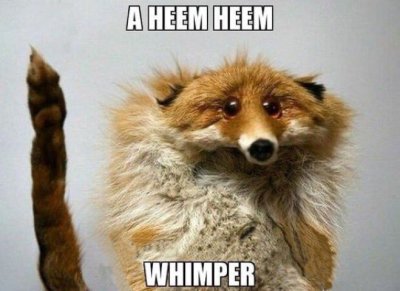 abimee: