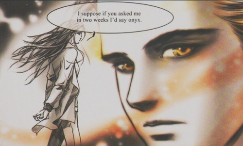 I honestly love Twilight - The Graphic Novel. The art is simply...