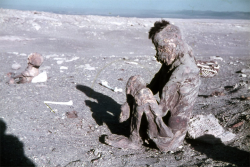  Mummy found in the Atacama desert in Chile. 