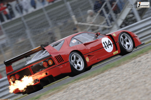 carpr0n:   	Starring: Ferrari F40by Jon Cooper 