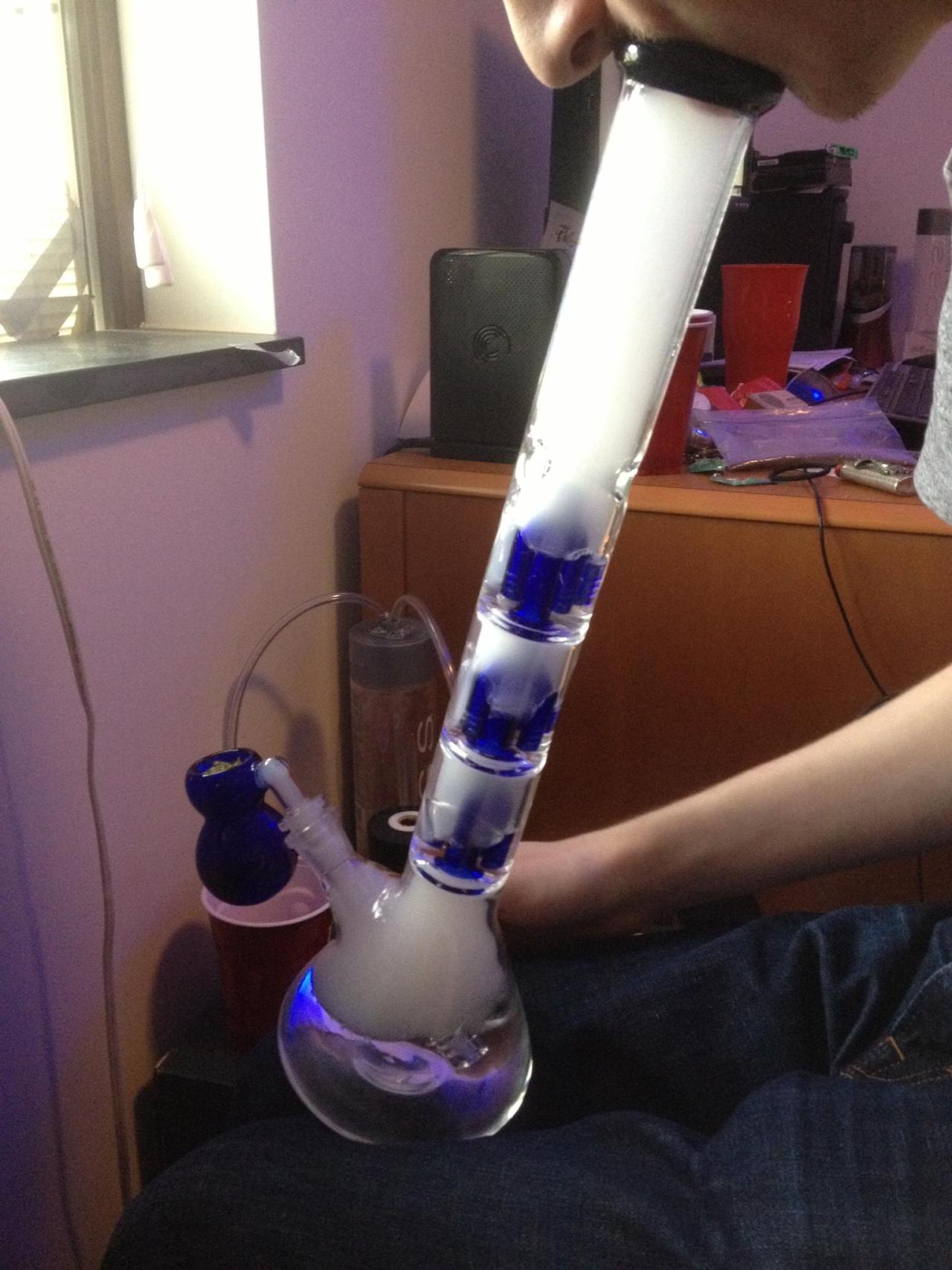weedporndaily:  I wanna name it Mordecai 