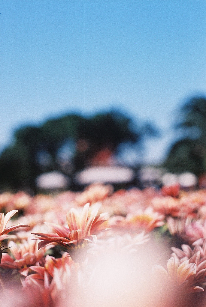 heypunchy:  (by ken’mos) 