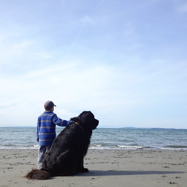 ryandonato:  Genuine Love Between a Little Boy and His Big Dog 