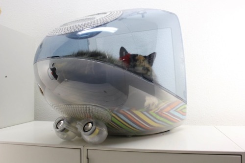 wacky-thoughts:THINK DIFFERENT IMAC UPCYCLED PET BEDSEach iMac is gutted and pieces are recycled app