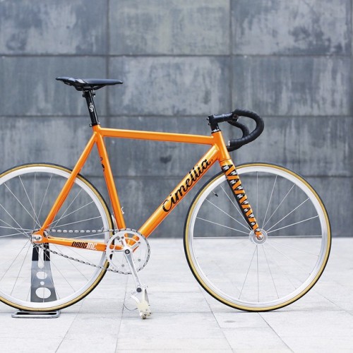 hublove: “. . frameset: custom #handmade @druginc_ . #druginc #cimellia #panache material: 6061 trip
