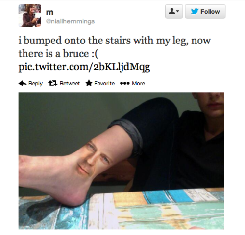 prettytropical:this is the best pun ever like