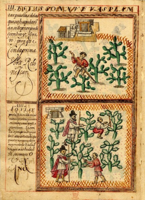 messoamerica:Gomez de Cervantes’ Memorial and the Anonymous Pictorial Manuscript Codex, AD 150