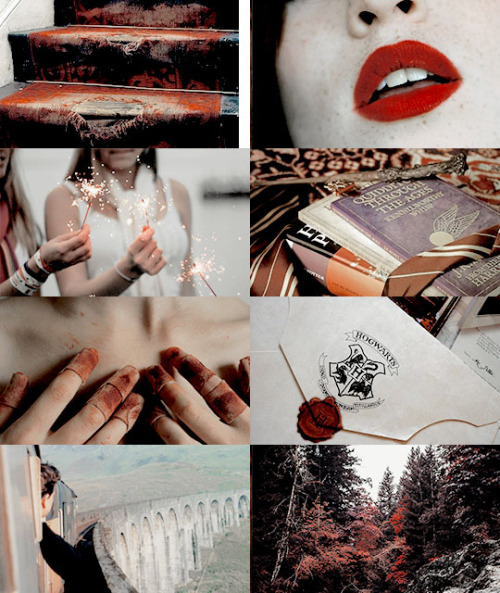 pvffskein:hogwarts aesthetics - gryffindorravenclaw,  slytherin, hufflepuff