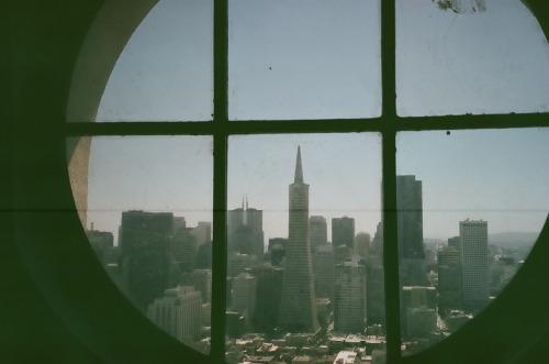 nickvlensi:  views of Oakland and San Francisco from Coit tower