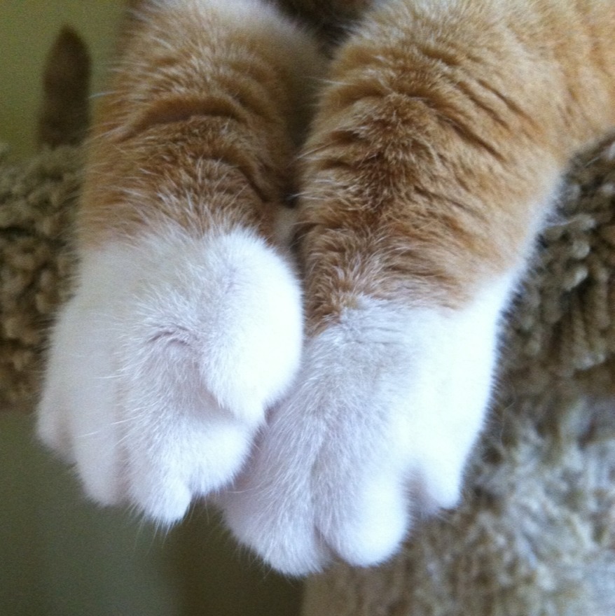 ~prettie~sweet~
