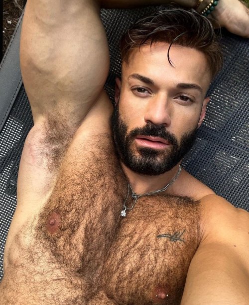 https://hairysweatysmelly.tumblr.com/post/696790059119165440