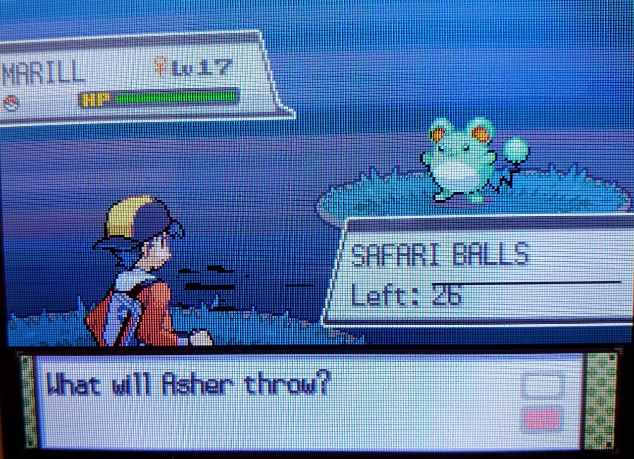 4] I recently caught ten shinies in the HGSS Safari Zone! : r