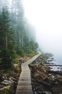 wolverxne:  Foggy Lake Twenty Two - Washington | by: { Tanner Wendell Stewart }
