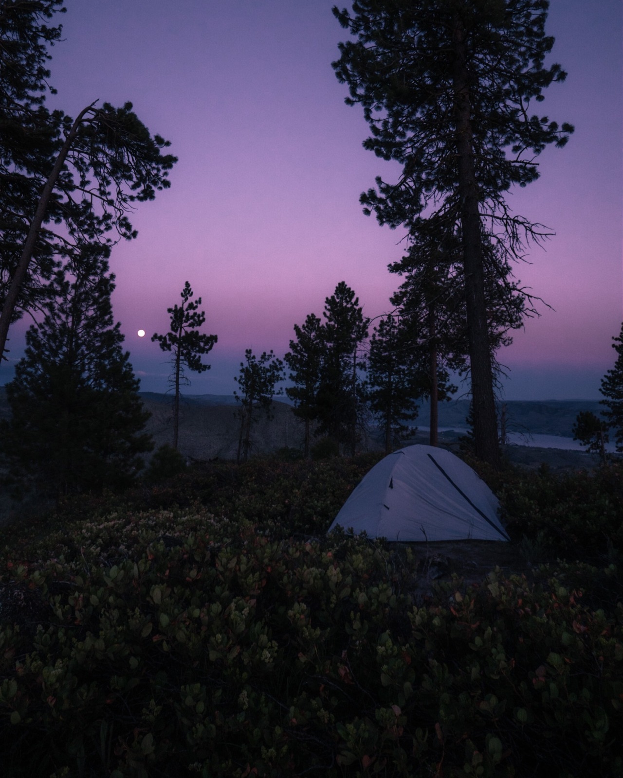 eddie-kruger:Camping under May’s Flower Moon 