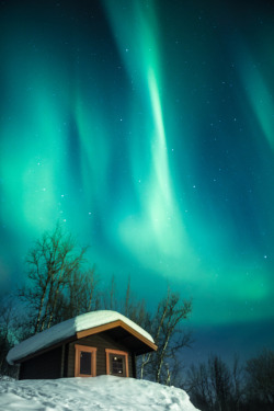 Drxgonfly:  Auroras &Amp;Amp; Cottage (By Veronique Robin) 