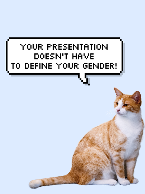 salve-terrae-magicae:some trans and nonbinary positivity cats for you!!