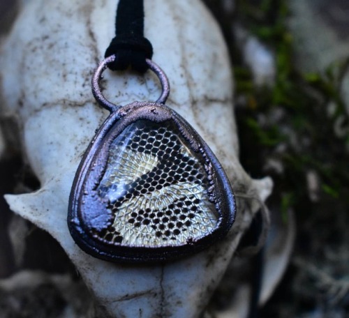 Simple but stunning ball python skin amulet in the shop now. These are made with real preserved skin