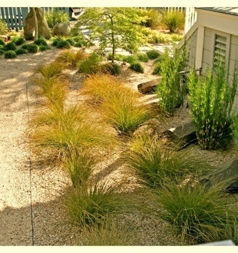 Front Yard Gravel In San Francisco