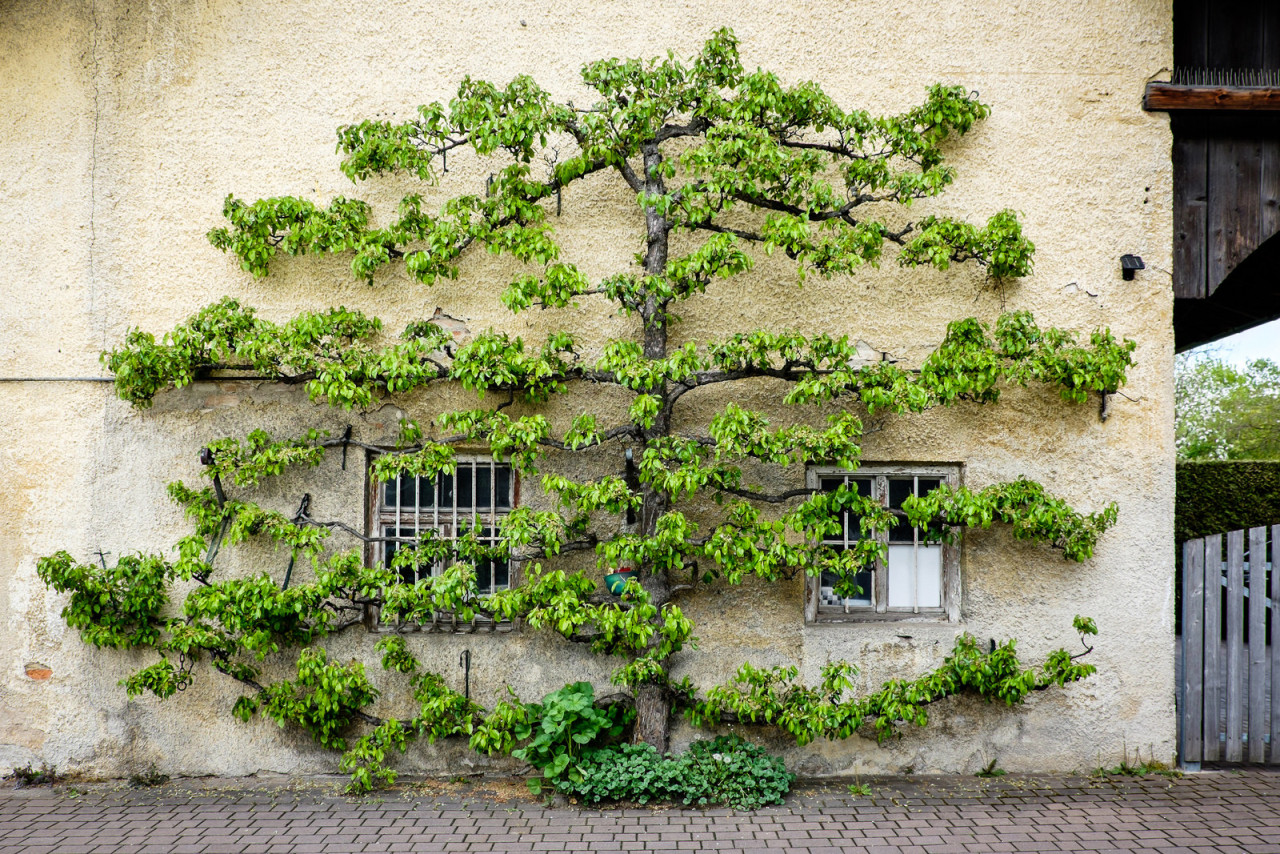 dontrblgme2:Hochäckerstraße, München (via [m]apugrafie)