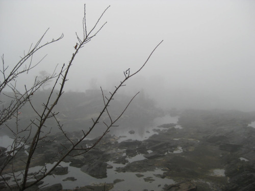 adelwood:so much fog