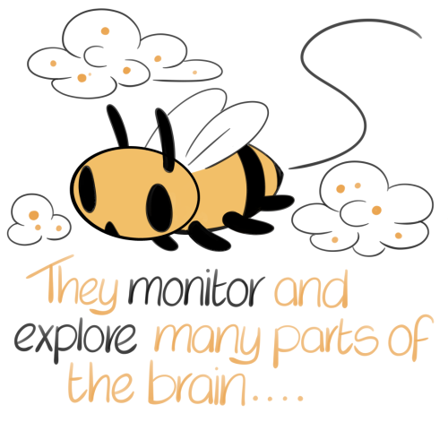 stutterhug: The Little Brain Bee~You can get a digital handlettered adoption certificate for yoursel