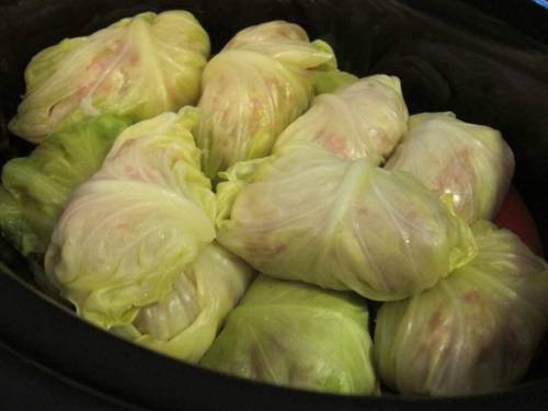 Cabbage Rolls -