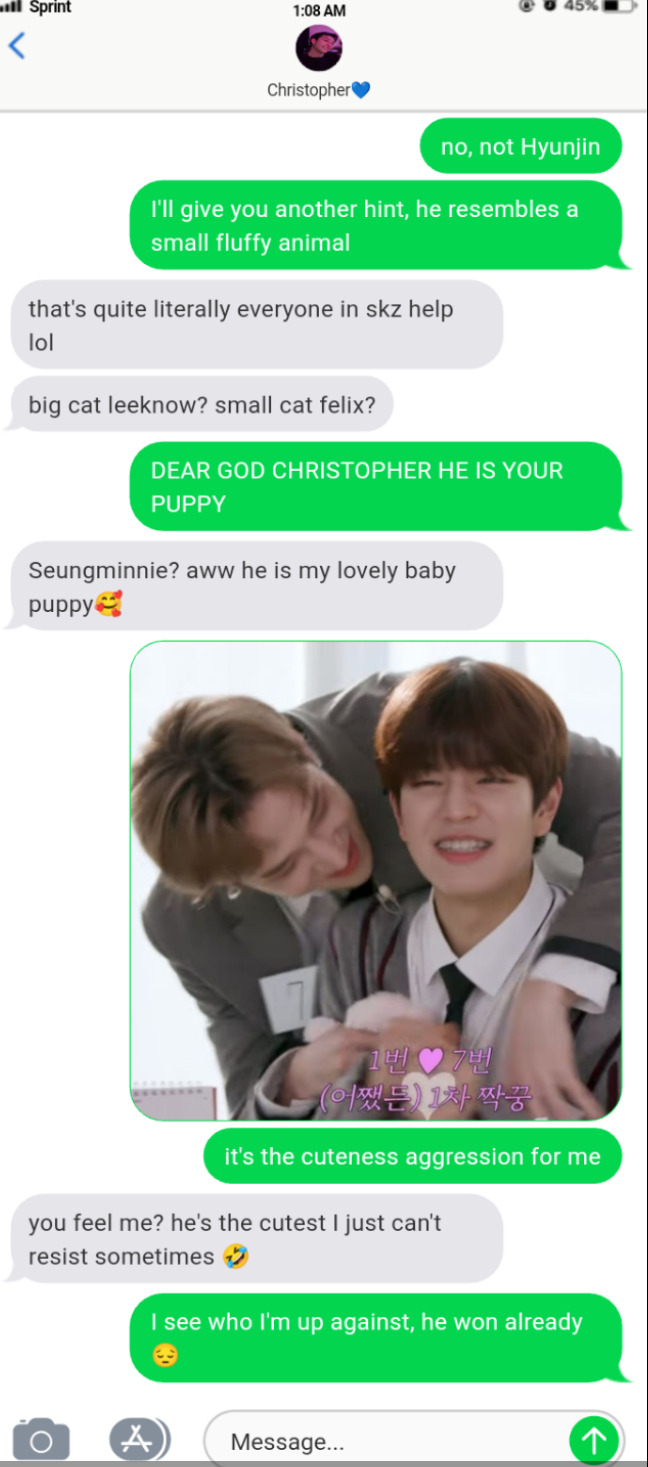 You Vs Bf!skz Bromances (ft. Skz)