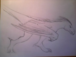 miniar:  dumb 10 minute wyvern sketch.. I’m exhausted…   Thats really good! ^////^ 
