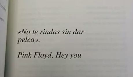 El Kevinazo