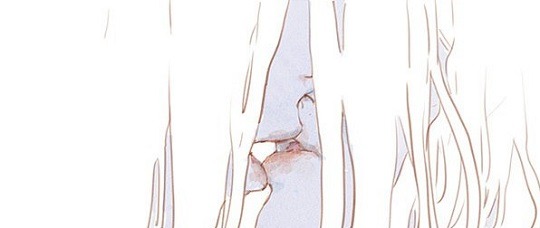 この男子