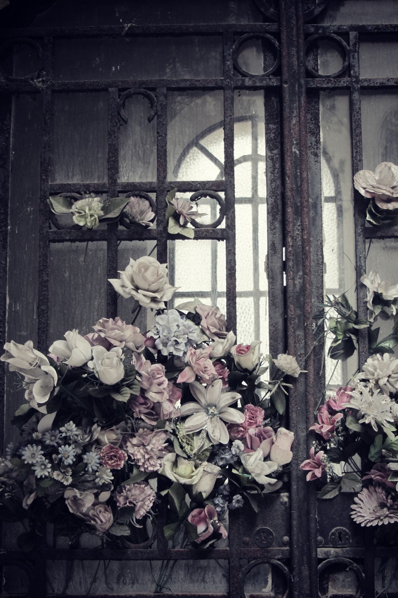 laurabfernandez:  Quiet halo. A small compilation from my cemetery photowalks in